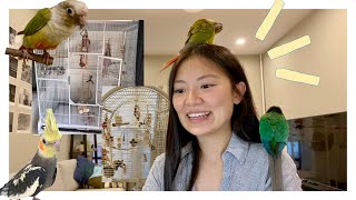 REACTING TO MY SUBSCRIBERS' BIRD CAGES