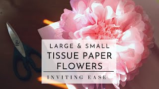 How to Make Tissue Paper Flowers  Two Sizes  Easy DIY