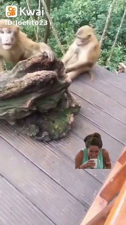 kepergok mesum di hutan