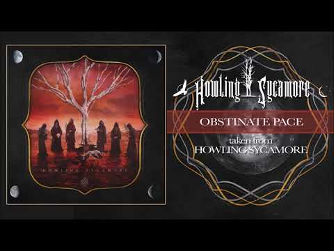 HOWLING SYCAMORE - OBSTINATE PACE