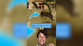 Si Ves Esto Recuperarás La Fe En La Humanidad