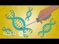 Gene Editing and CRISPR: Exploring the Future