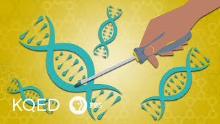 Gene Editing \& CRISPR: How Far Should We Go?