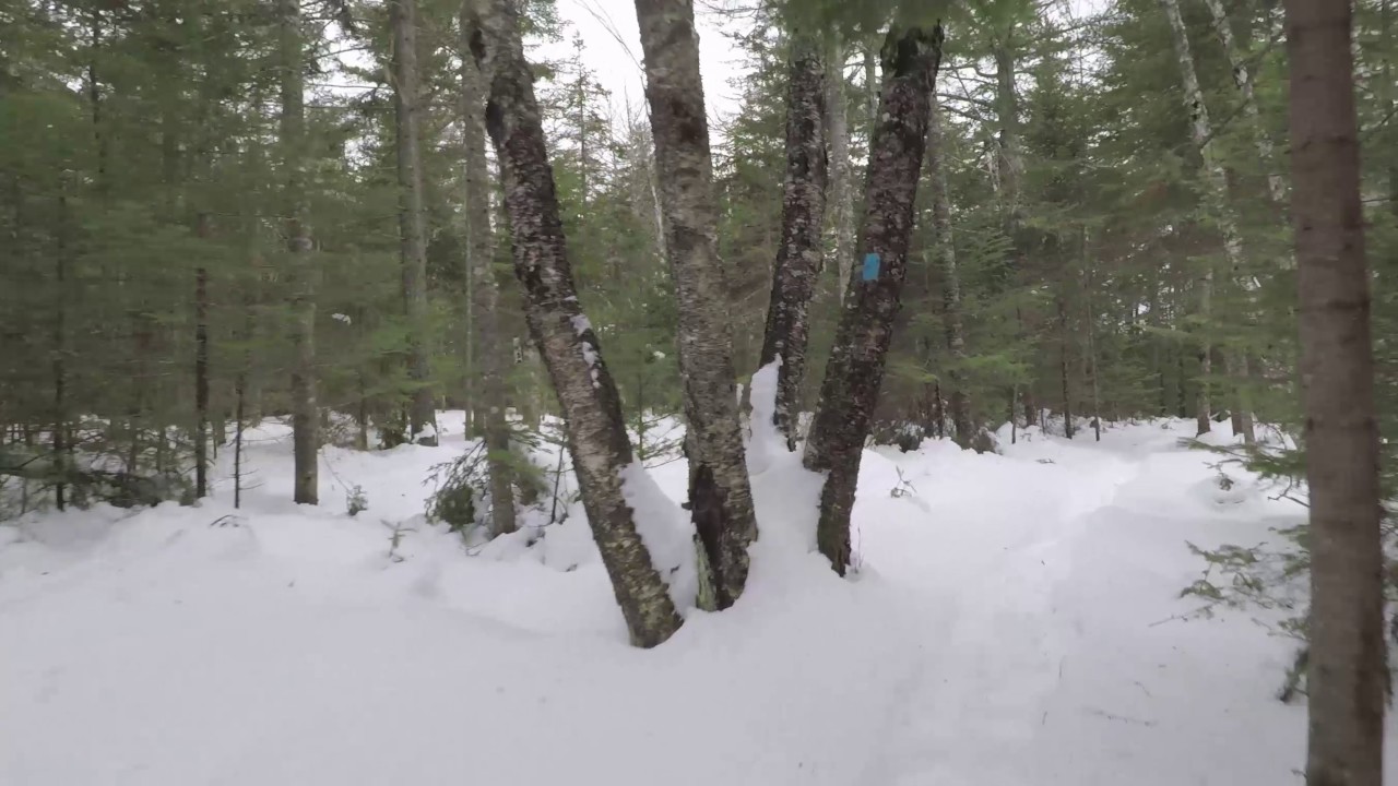 GoPro Karma Grip - Footage from our runner-up for best drones