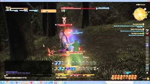 Final Fantasy XIV: A Realm Reborn Latency/Lag Issue