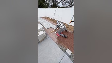 Setting pavers around a pool #landscaping #hardscaping #hardscapetraining