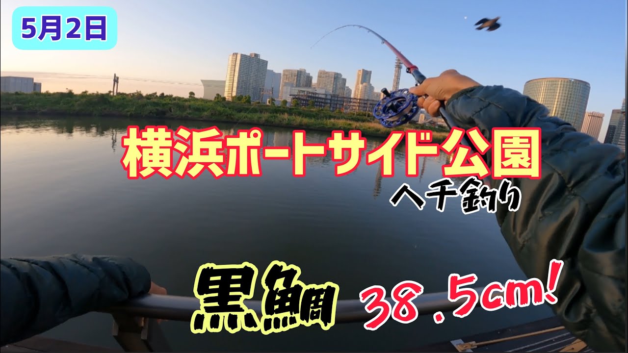 第回 横浜ポートサイド公園ヘチ釣り 黒鯛38 5cm Youtube
