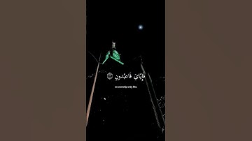 عبدالرحمن مسعد تلاوة هادئة