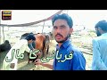 Qurbani ke hawale se  httpsyoutubecomchanneluceyiqypiozt8h5rzhxgcega qurbani