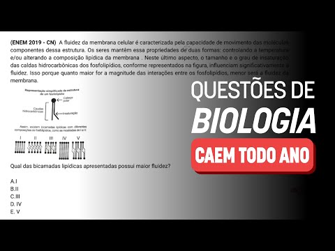 🚨 Como ACERTAR 5 questões de Biologia | Revisão ENEM 2024 #JuntosAtéaProva