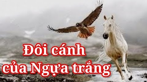 Đôi cánh của Ngựa trắng- Mỗi ngày một câu chuyện