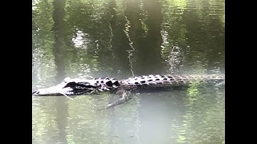 Spring Hammock Preserve Seminole County Florida
