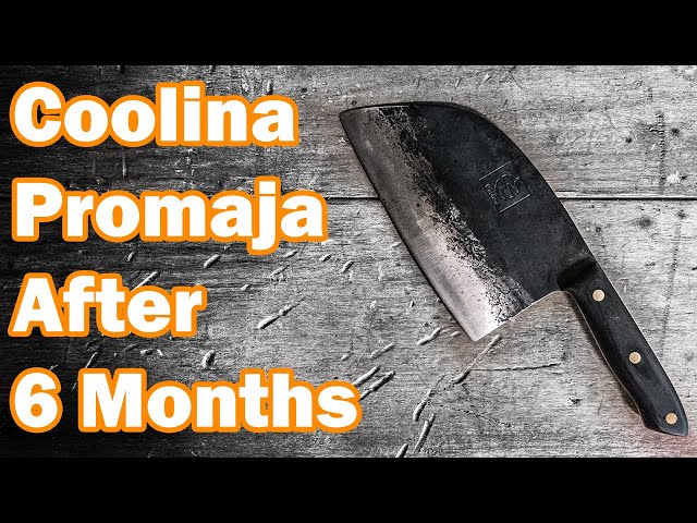 Promaja - professional serbian clever meet cutting carving knife and gifts  for my husband