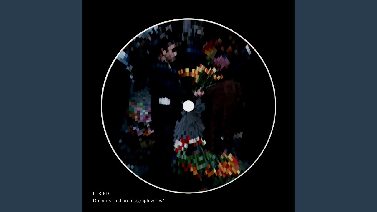 Do birds land on telegraph wires?