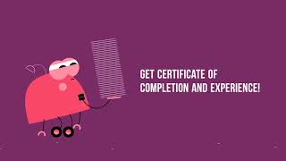 Nass Technologies IT Internship Program