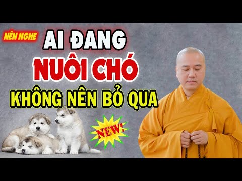 Video: Bệnh này ảnh hưởng đến 80% chó con Pháp. Là con của bạn âm thầm đau khổ?