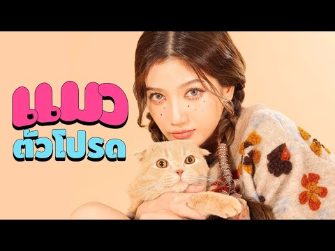 แมวตัวโปรด - NANA (ft. Pompadour) - OFFICIAL VISUALIZER
