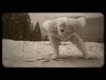 Snow Monster 2017 Snow Monster 2017