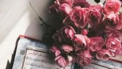 ما تيسر من سوره النساء بصوت الشيخ عبد الرؤوف شلبى رحمه الله ٢٠٢٢