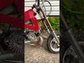 Mini dirt bike with new paint job #minidirtbike #engine