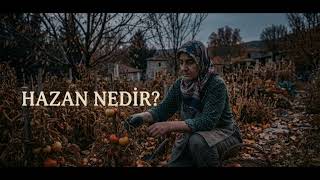 Deniz Toprak - Hazan Nedir - Anatolian Rock & Psychedelic Cover