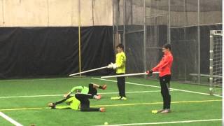 Low Diving Under Bar to Tennis Ball 20151129