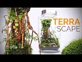 Ancient Vines Terrascape (Closed Terrarium Build)