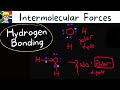Intermolecular Forces grade 11: Hydrogen bonding