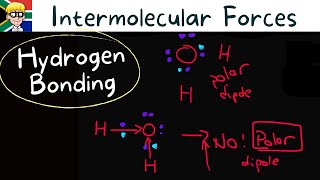 Intermolecular Forces grade 11: Hydrogen bonding