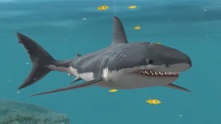 Jaws Unleashed (Former WR) 36:29.37