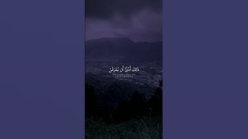 أكتب شئ تؤجر عليه| سورة الأحزاب الايه 59 القارئ ياسر الدوسري🎧#راحة_نفسية #المصحف #الايك