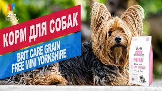 Корм для собак Brit Care Grain Free Mini Yorkshire | Обзор корм для собак Brit Care Grain Free Mini
