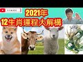 2021年十二生肖運程大解構 龍 狗 牛 羊/世界算命大賽季軍劉文杰/文杰新時代/2020年12月26日片2