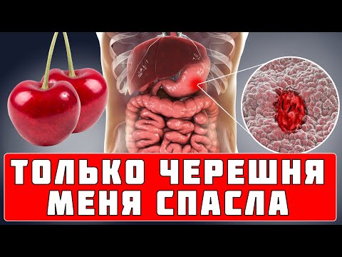 Бейне: Литва халқы: мөлшері мен құрамы