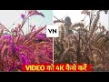 VN App 4K Video Editing | How To Increase Video Quality in VN |