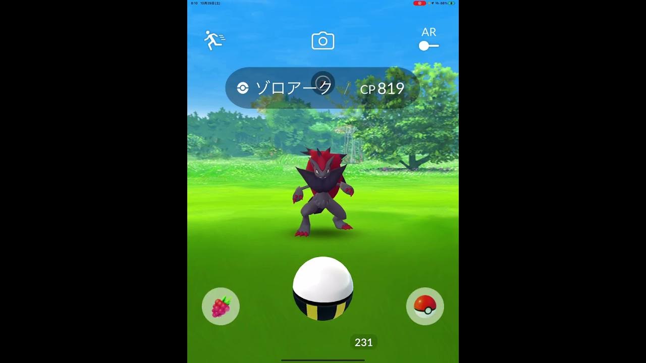 や 野生でゾロアークが ポケモンgo Shrots ゾロア Youtube や 野生でゾロアークが ポケモンgo Shrots ゾロア Youtube