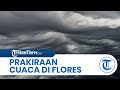 Prakiraan cuaca di flores kamis 11 april 2024 sebagian wilayah dilanda hujan ruteng hujan petir