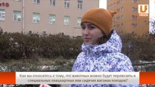 UTV. Теперь животных можно будет перевозить в плацкартных или сидячих вагонах поездов UTV. Теперь животных можно будет перевозить в плацкартных или сидячих вагонах поездов