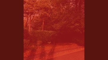 Groovy Moods for Devoted Inspiration