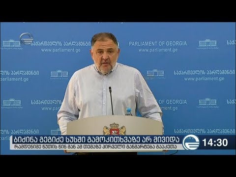 ბიძინა გეგიძის ბრიფინგი