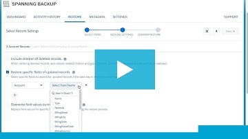 Spanning Backup for Salesforce: Restore Specific Fields in Bulk Restore