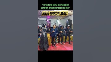 NKRI Harga Mati #shorts #gambusmayami #mayamigroup #gambus #gambusterbaru #gambusjember