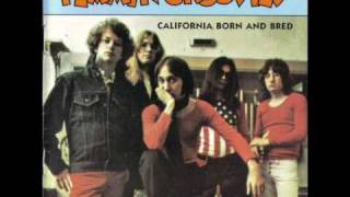 Video thumbnail of "Flamin' Groovies - Shakin' all over"