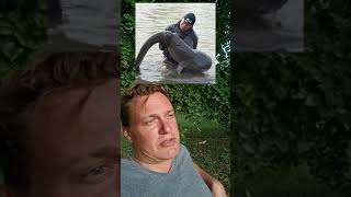Виталий Дальке откровенно о рыбалке на сома и в общем by Vitali Dalke - рыбалка на сома 6,374 views 1 year ago 3 minutes, 18 seconds