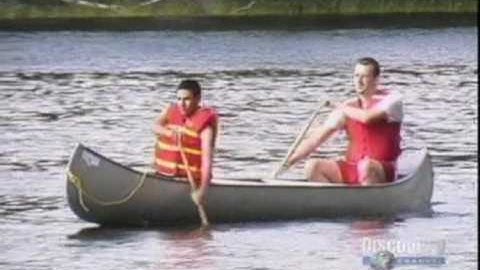 Discovery   Elements of Physics   Part 2 of 3   Motion, Force, and Gravity