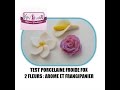 Tuto modelage fleurs arome et frangipanier en porcelaine froide idee creative