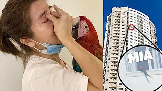 BIRD RESCUE KAY MIA! NAKUHA NAMIN SIYA SA TUKTOK NG BUILDING (Ang taas ng lipaD niya) | Murillo Bros