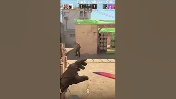 CS2 Players With 0 Brain Cells 🤡💀 | Funny Moments"