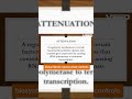 genetics definition attenuation