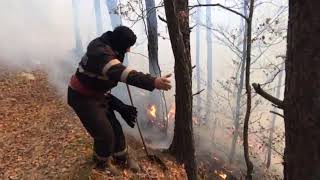 VIDEO FOTO - Incendiul de pădure din Cisnădie s-a reaprins - Zeci de pompieri la fața locului 2 video